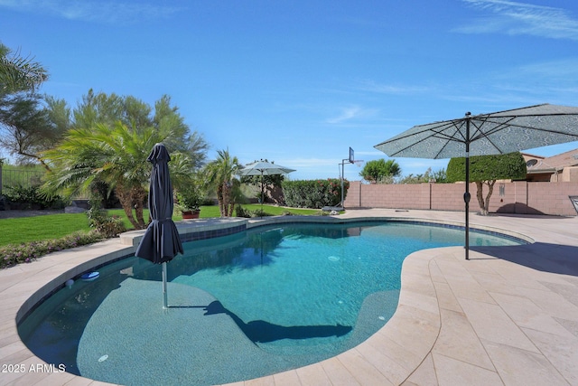 26647 N 43rd St N, Cave Creek, AZ 85331 - view of swimming pool