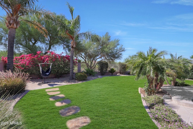 26647 N 43rd St N, Cave Creek, AZ 85331 - view of grassy yard