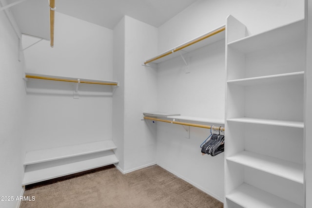 walk in closet with light colored carpet