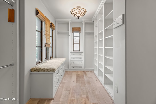 spacious closet with light wood-type flooring