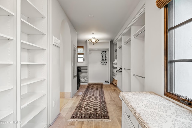 spacious closet with light wood-type flooring