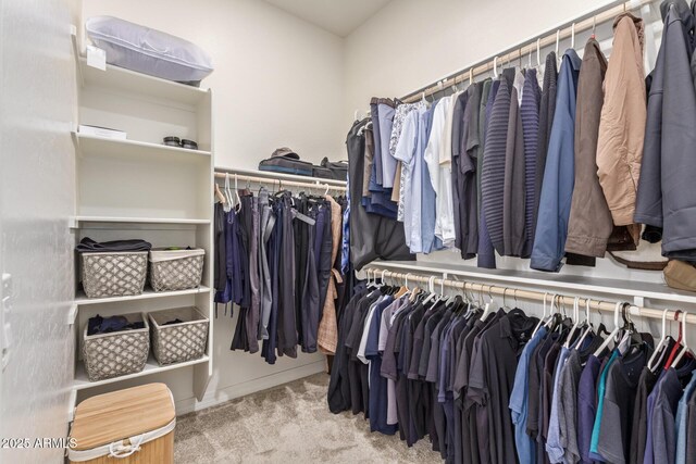 5218 N Tiller Dr, Litchfield Park, AZ 85340 - spacious closet featuring carpet
