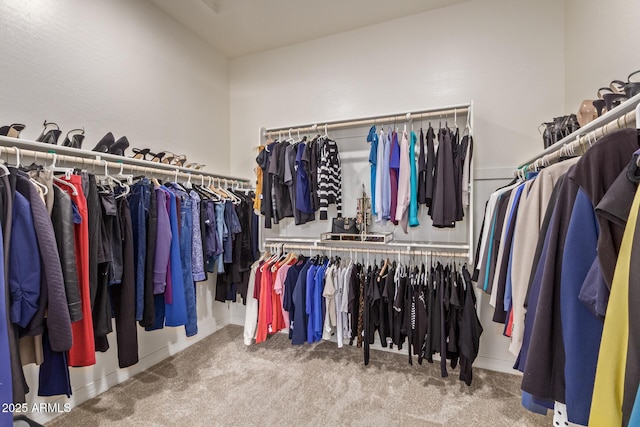 5218 N Tiller Dr, Litchfield Park, AZ 85340 - spacious closet featuring carpet flooring