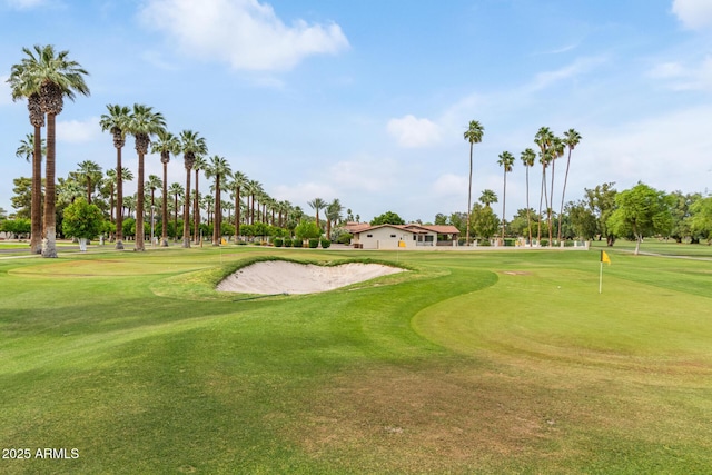 5218 N Tiller Dr, Litchfield Park, AZ 85340 - view of home's community featuring view of golf course, a putting area, and a yard