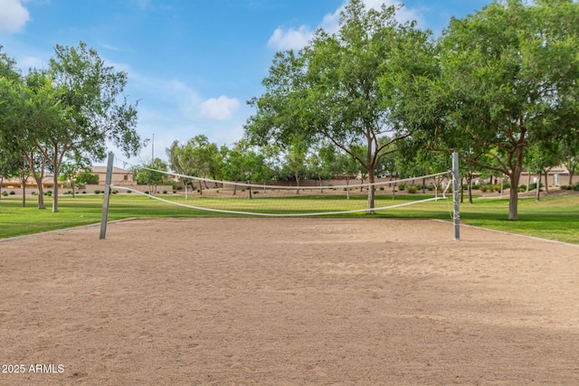 5218 N Tiller Dr, Litchfield Park, AZ 85340 - view of home's community featuring volleyball court and a yard