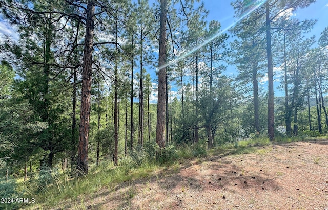 14 W Wipila Wiki Dr Unit 14, Payson AZ, 85541 land for sale