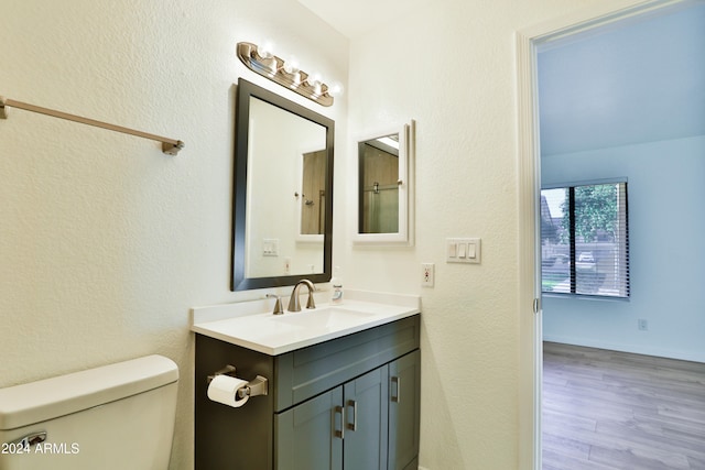 bathroom with wood-type flooring, vanity, and toilet