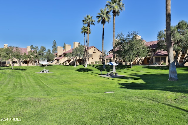 view of community with a lawn