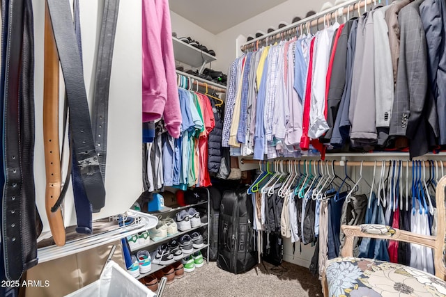 walk in closet with carpet