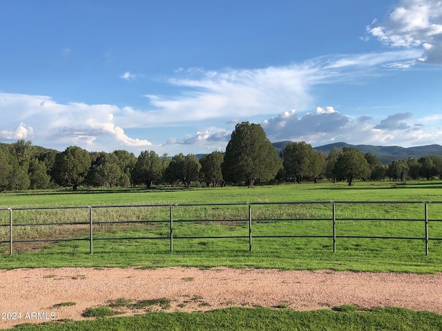 view of yard featuring a mountain view and a rural view