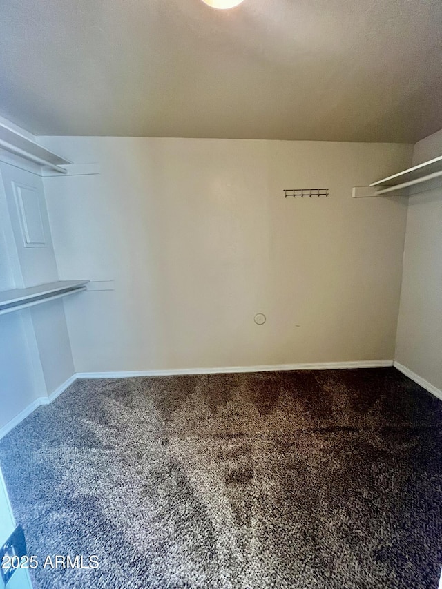 spacious closet with carpet floors