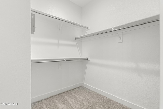 4010 N 156th Ln, Goodyear, AZ 85395 - spacious closet with light carpet