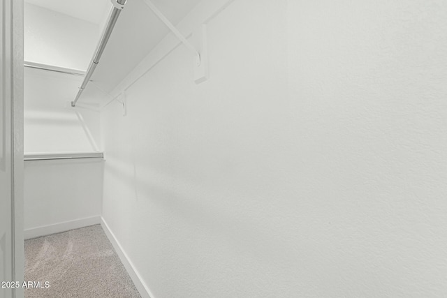 4010 N 156th Ln, Goodyear, AZ 85395 - walk in closet featuring carpet flooring