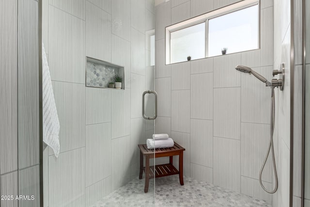 4010 N 156th Ln, Goodyear, AZ 85395 - full bath with tiled shower