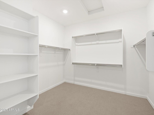 walk in closet featuring carpet floors