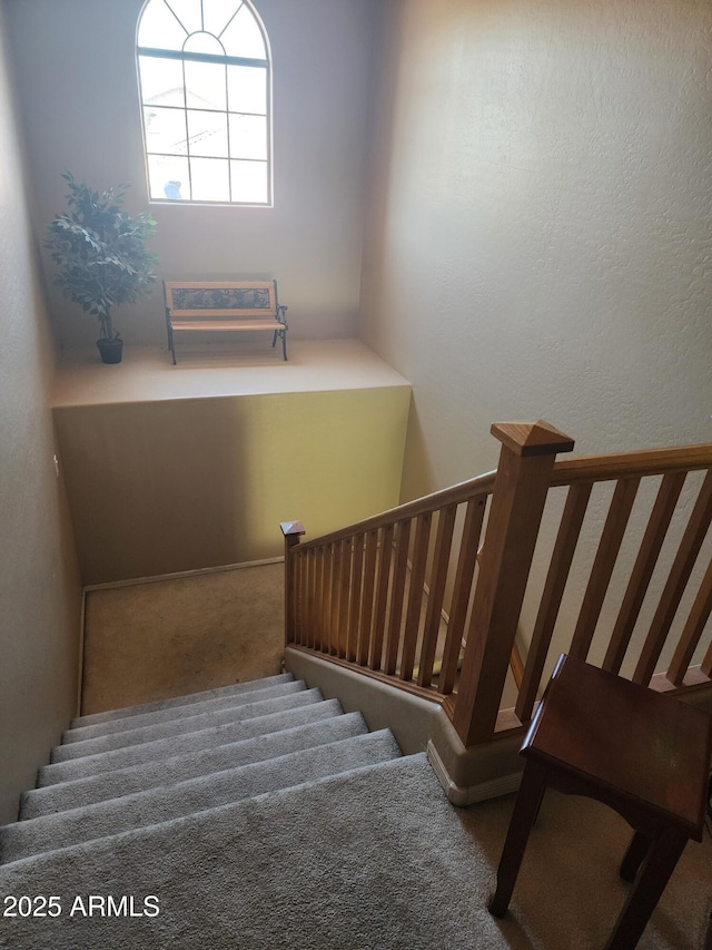 staircase featuring carpet flooring