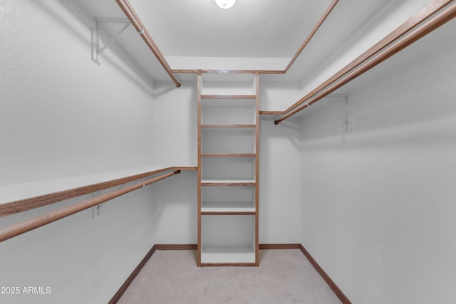 8604 S Oak St, Tempe, AZ 85284 - spacious closet featuring light carpet