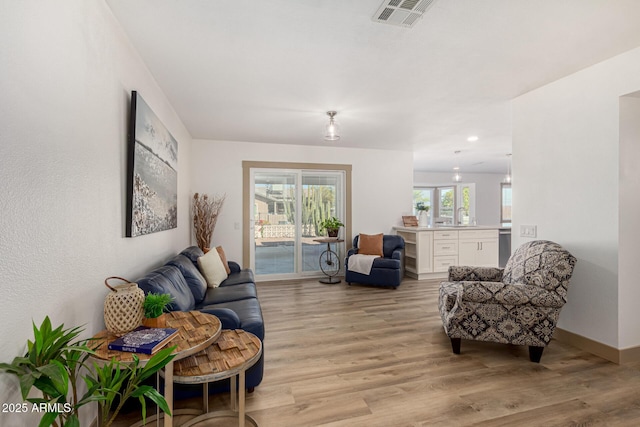 living room featuring sink and light hardwood / wood-style flooring