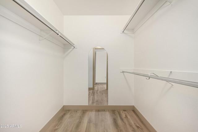 walk in closet featuring light hardwood / wood-style flooring