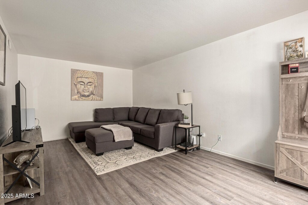 520 N Stapley Dr Unit 181, Mesa, AZ 85203 - living area with baseboards and wood finished floors