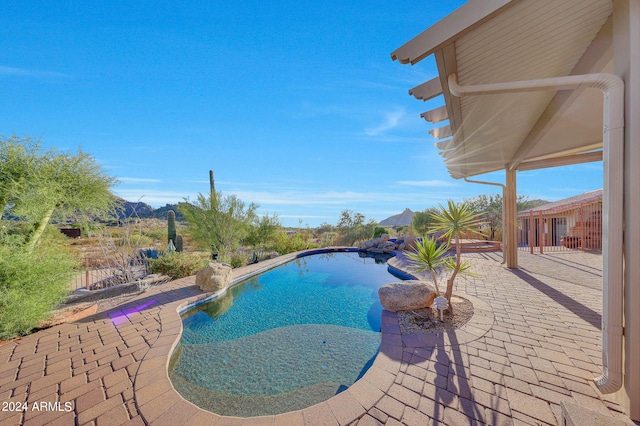 view of swimming pool with a patio