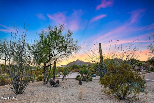 yard at dusk featuring a mountain view