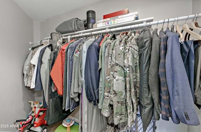 view of spacious closet