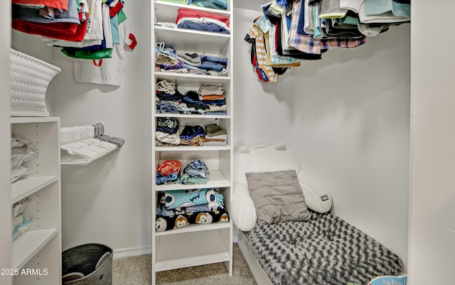 walk in closet featuring carpet floors