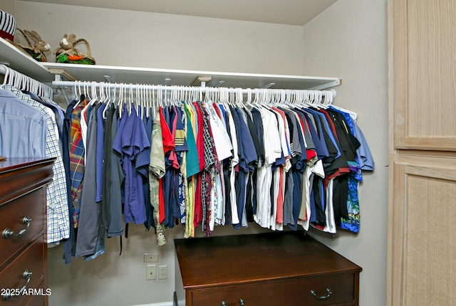 view of walk in closet