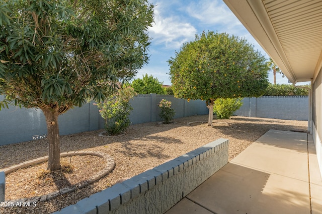 view of yard featuring a patio area