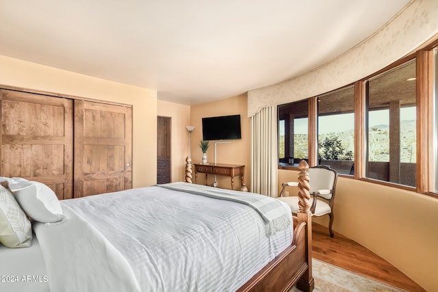 bedroom with a closet and light hardwood / wood-style floors