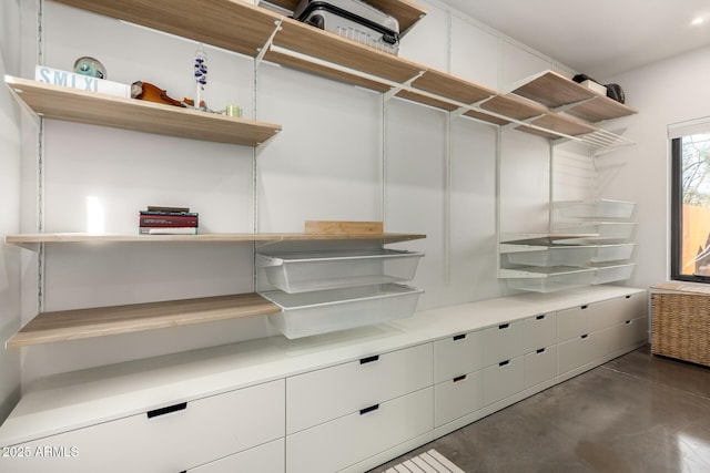 spacious closet featuring radiator heating unit