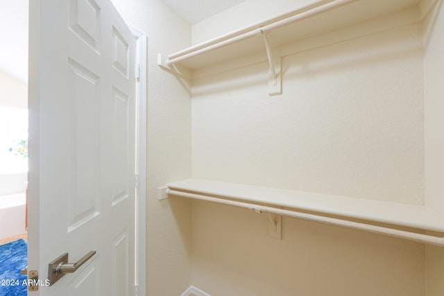 view of walk in closet