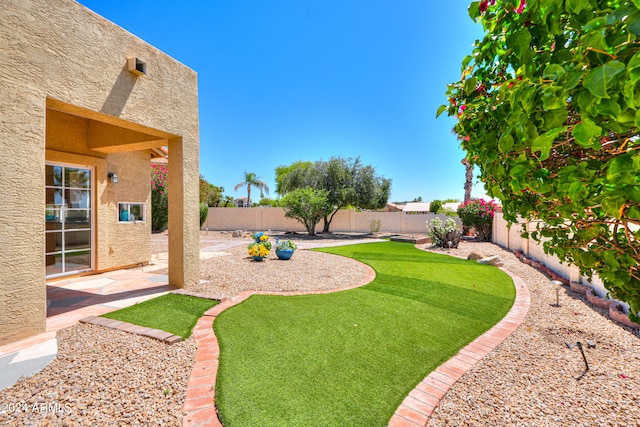 view of yard featuring a patio area