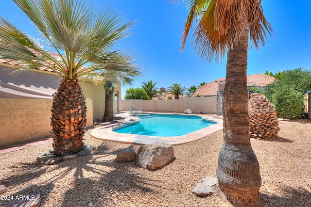 view of swimming pool featuring a patio area