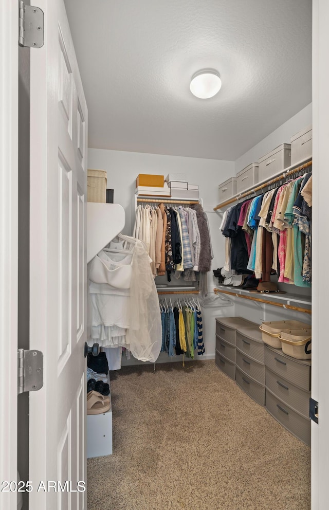 10224 E Talameer Ave, Mesa, AZ 85212 - walk in closet featuring carpet floors