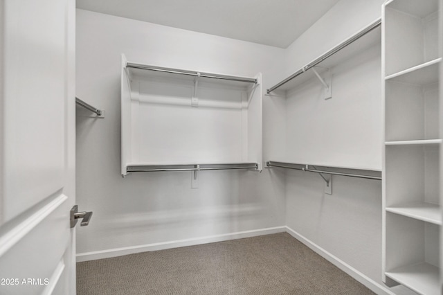 4128 Desert Moon Dr, Wickenburg, AZ 85390 - spacious closet featuring carpet