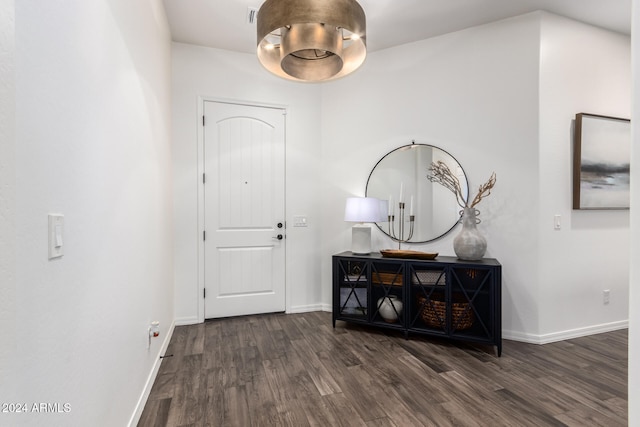 entryway with dark hardwood / wood-style flooring