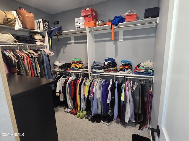 view of spacious closet