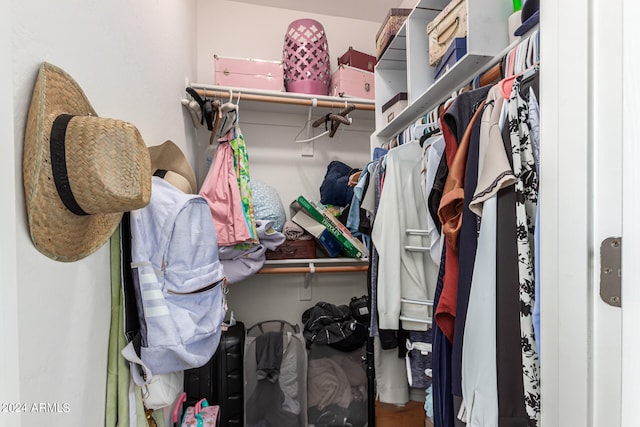 view of walk in closet