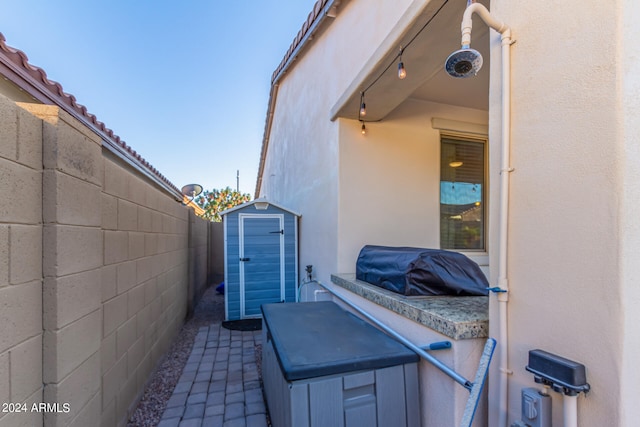 exterior space with grilling area and a storage unit