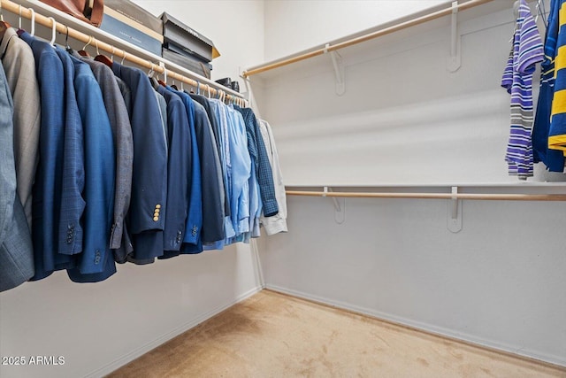4667 E County Down Dr, Chandler, AZ 85249 - walk in closet with carpet