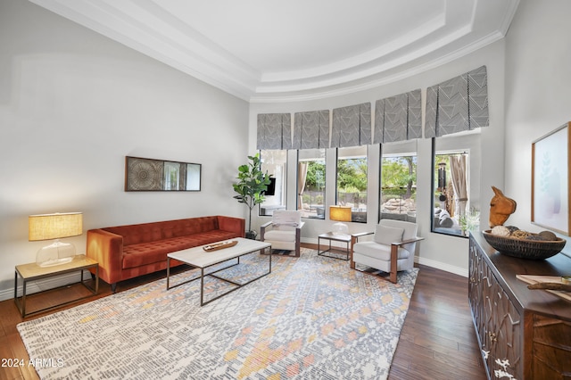 living room featuring crown molding, a towering ceiling, dark hardwood / wood-style floors, and a raised ceiling