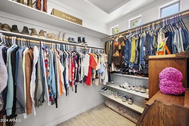 spacious closet with hardwood / wood-style flooring