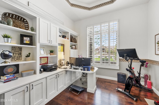 office space featuring dark hardwood / wood-style flooring and a tray ceiling