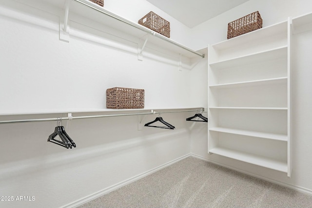 spacious closet featuring carpet