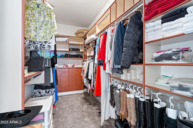 2221 W Calle De Las Estrella Way, Phoenix, AZ 85085 - walk in closet with carpet floors