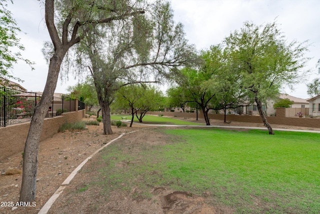 2221 W Calle De Las Estrella Way, Phoenix, AZ 85085 - view of yard