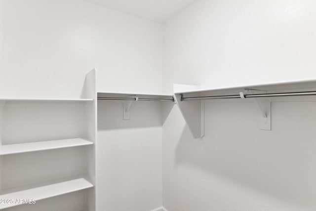 view of spacious closet