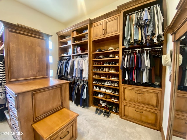 spacious closet with light carpet